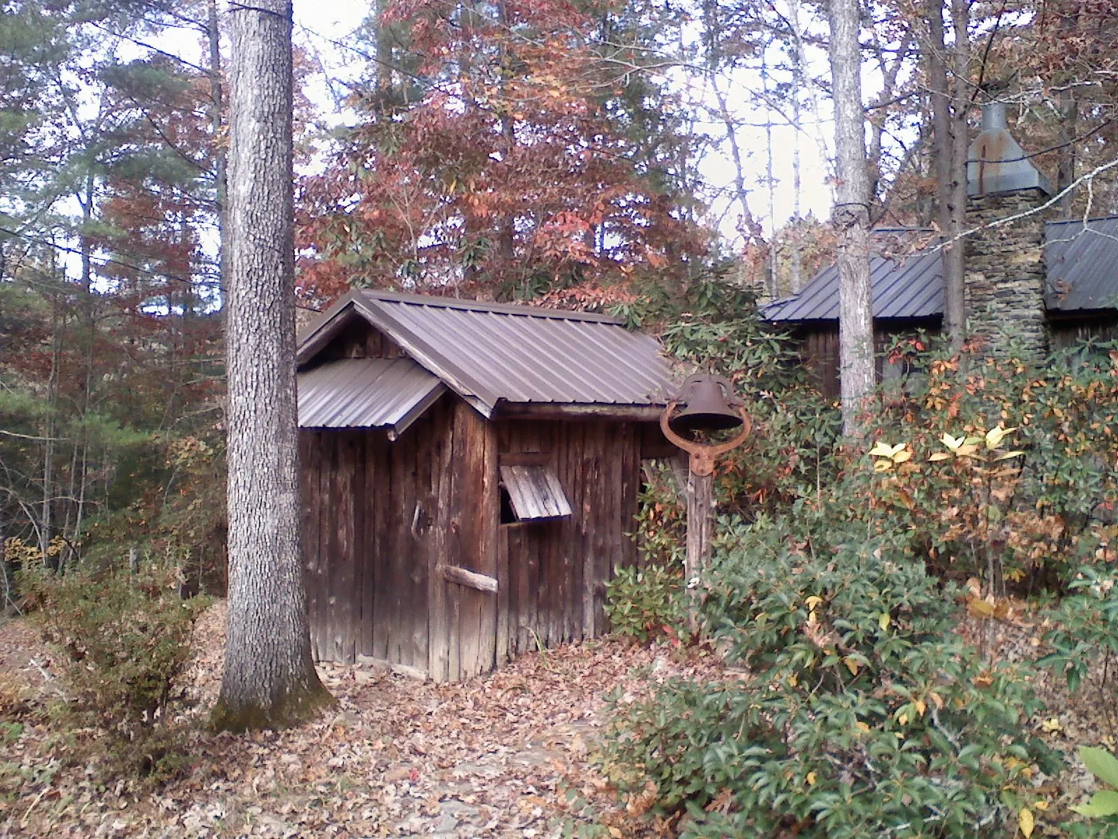 Small metal roof on a rough sawn shed in the woods in Watkins